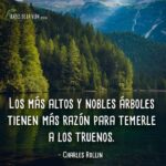 Frases-de-Árboles-4