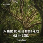 Frases-de-Árboles-9