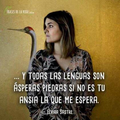 30 Frases De Elvira Sastre | Una Poesía Actual Y Antigua [Con Imágenes]