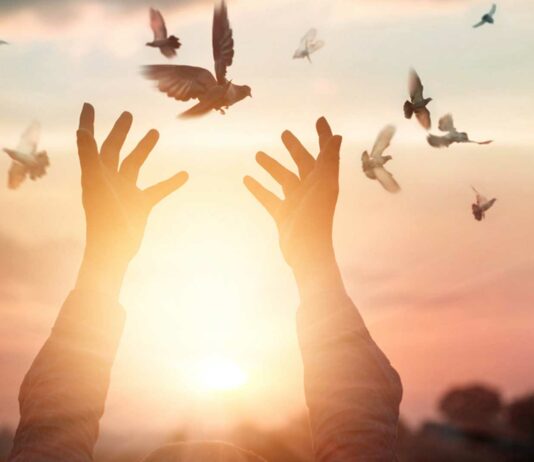 160 Frases de Juventud | La etapa de las ilusiones 30 Frases de Juventud | ¡La etapa de las ilusiones!