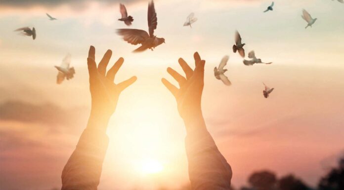 160 Frases de Juventud | La etapa de las ilusiones 30 Frases de Juventud | ¡La etapa de las ilusiones!