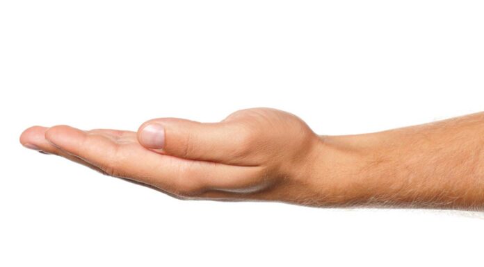 80 Citas sobre las Manos y todo lo que dicen de nosotros X Citas sobre las Manos y todo lo que dicen de nosotros