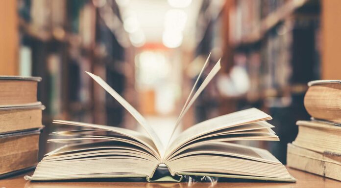 100 Frases de Educación | La base de nuestros conocimientos Frases de Educación | La base de nuestros conocimientos