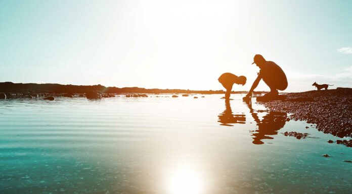 100 Frases de Momentos | Instantes que cambian nuestra vida Frases de Momentos | Instantes que cambian nuestra vida