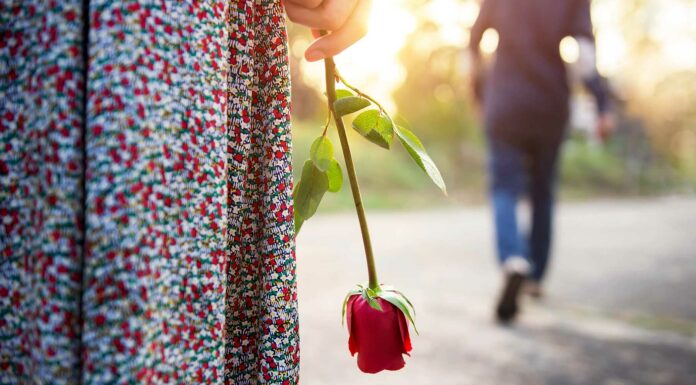 100 Frases de Ruptura | Para ayudarte a superarla Frases de Ruptura | Para ayudarte a superarla