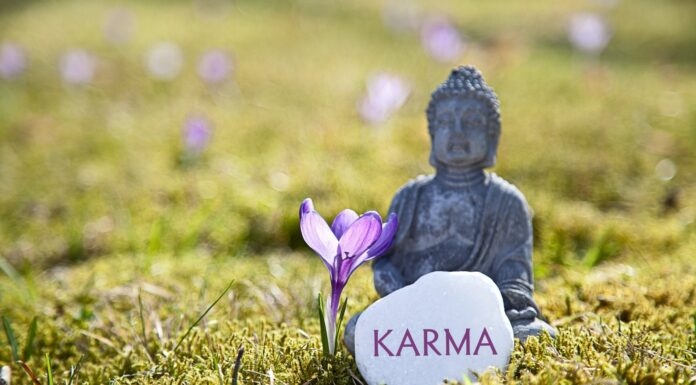 80 Frases de Karma | Para reflexionar acerca de tus actos 30 Frases de Karma | Para reflexionar acerca de tus actos