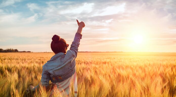 100 Frases de Positividad | La mejor actitud para la vida 20 Frases de Positividad | La mejor actitud para la vida
