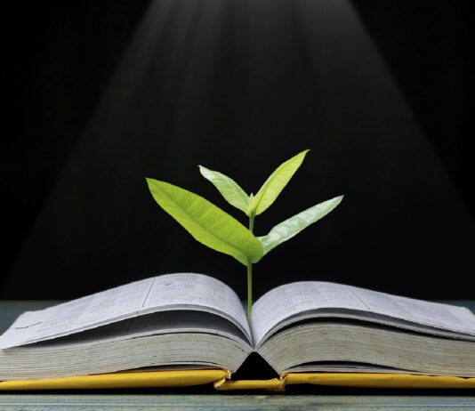 70 Frases de Sabios | Palabras que merecen ser escuchadas frases de sabios