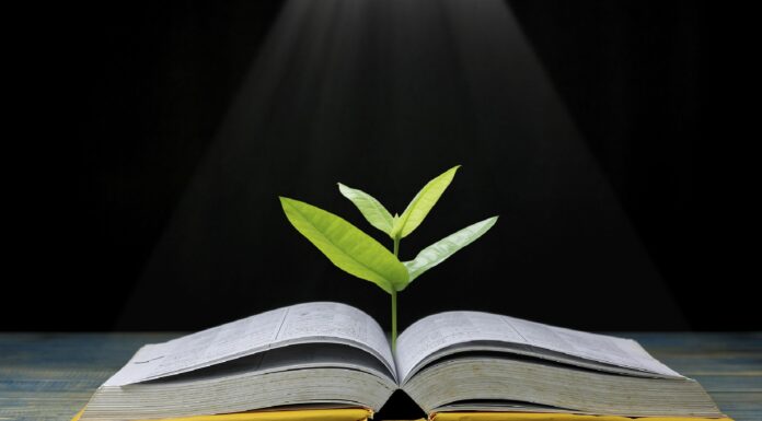 70 Frases de Sabios | Palabras que merecen ser escuchadas frases de sabios