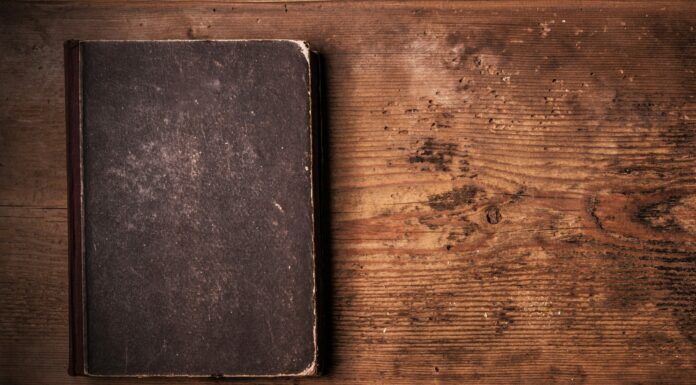 70 Frases de El amor en los tiempos del Cólera | Imprescindibles de la literatura Frases de El amor en los tiempos del Cólera | Una oda al amor