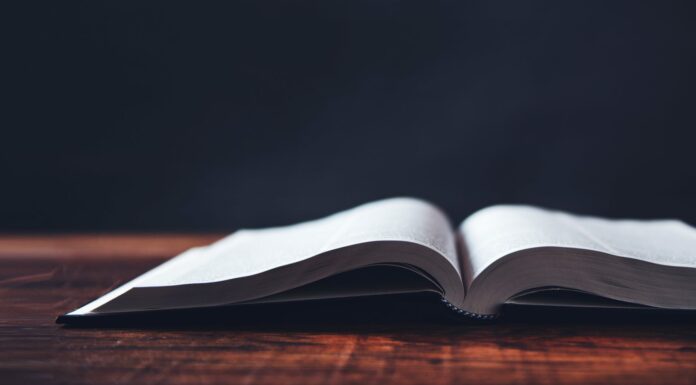 120 Frases de Emil Cioran | Sus más contundentes reflexiones Frases de Emil Cioran