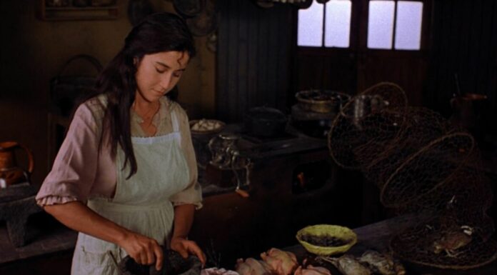 30 Frases de Como agua para chocolate | Un amor cocido a fuego lento 10 Frases de Como agua para chocolate