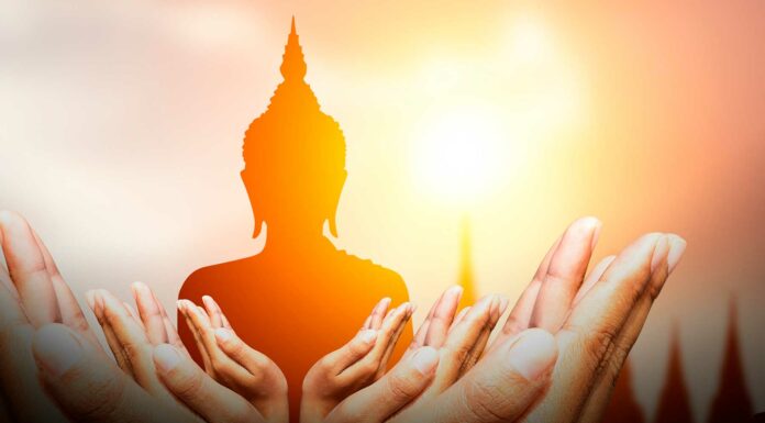 10 Libros de Budismo | Ideales para conocer sus enseñanzas libros de budismo