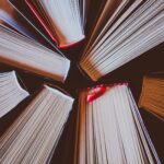 vanguardismo literario