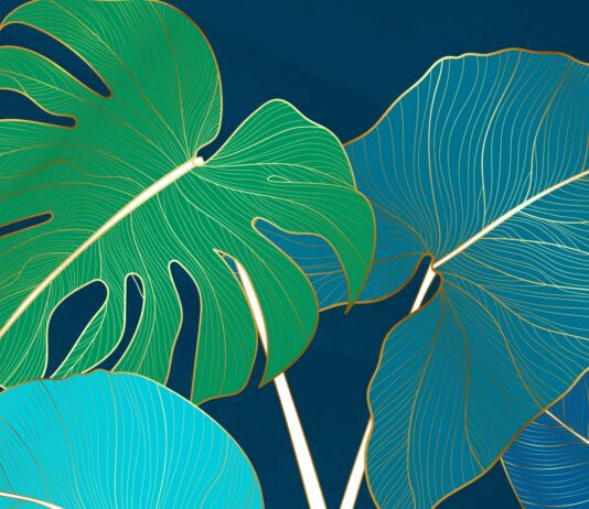 80 Frases de Plantas | Descubre la magia de la naturaleza frases de plantas