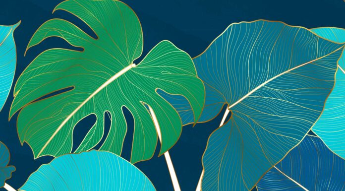 80 Frases de Plantas | Descubre la magia de la naturaleza frases de plantas