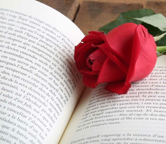 El Romanticismo Literario | Características, autores y obras romanticismo literario