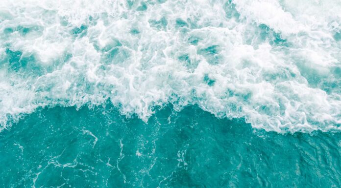 110 Frases del Mar | El máximo paraíso sobre la tierra frases sobre el mar