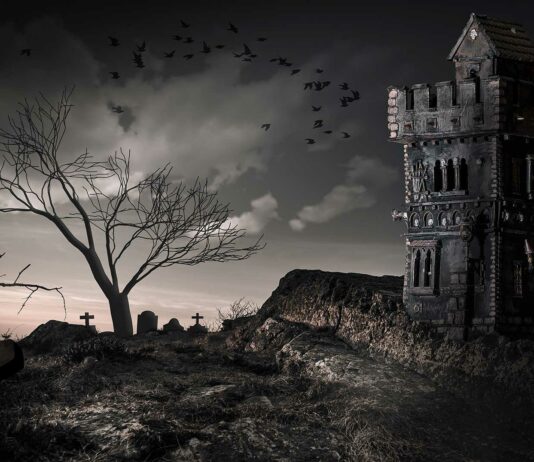 10 Libros de Vampiros | ¡Los mejores de la historia! libros de vampiros