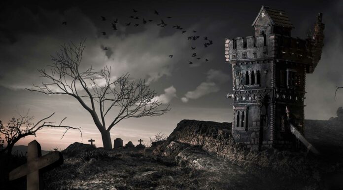 10 Libros de Vampiros | ¡Los mejores de la historia! libros de vampiros