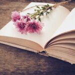 libros de Viviana Rivero