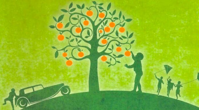 10 Frases de Mi planta de naranja lima | La vida de un niño grande frases de mi planta de naranja lima