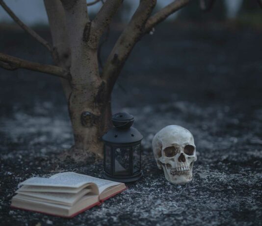 10 Libros de terror cortos | Hasta el tiempo se detendrá cuando los leas libros de terror cortos