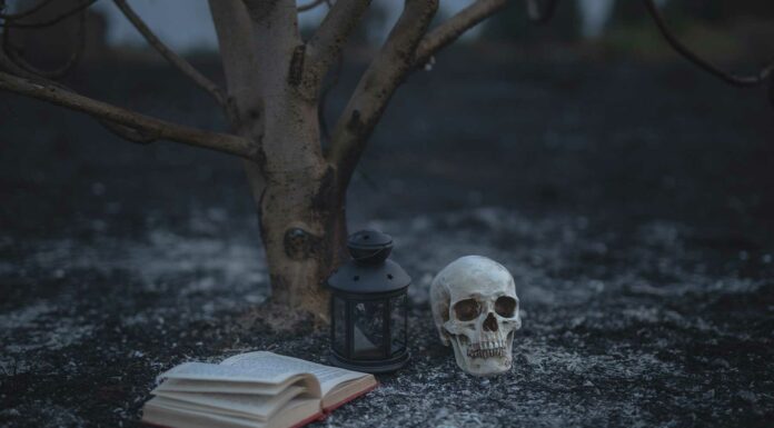 10 Libros de terror cortos | Hasta el tiempo se detendrá cuando los leas libros de terror cortos