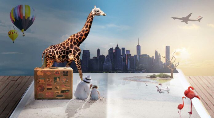 10 Libros de viajes | El deseo de viaje entre renglones libros de viajes