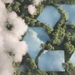 Frases sobre el cuidado del medio ambiente