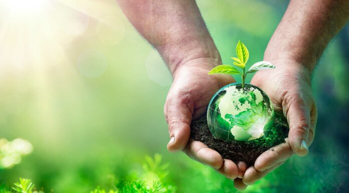 15 Frases sobre el cuidado del medio ambiente | ¡Lucha por el planeta! Frases sobre el cuidado del medio ambiente