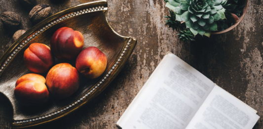 10 libros de nutrición, para comer mejor y cuidar de tu salud libros de nutricion