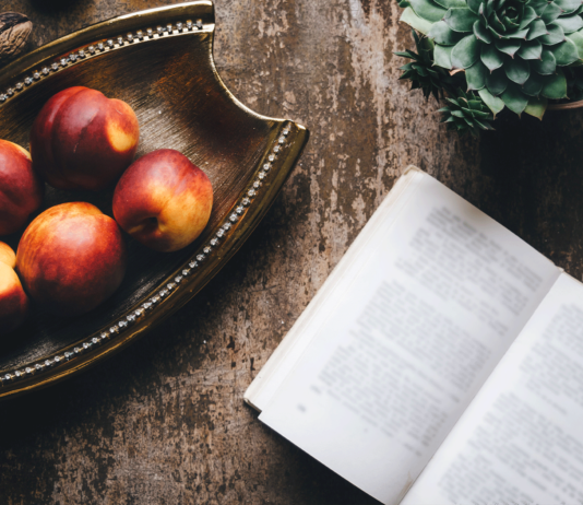 10 libros de nutrición, para comer mejor y cuidar de tu salud libros de nutricion