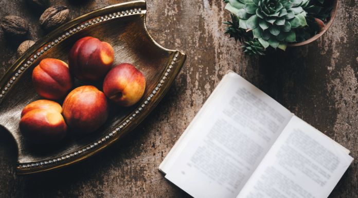 10 libros de nutrición, para comer mejor y cuidar de tu salud libros de nutricion