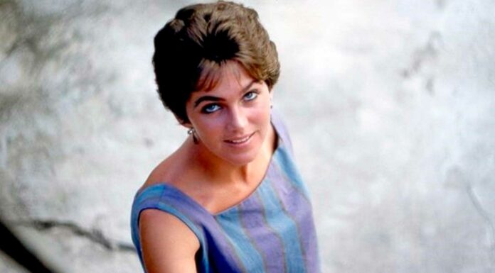 4 Libros de Lucía Berlín | La vida emerge de sus palabras libros de Lucía Berlín