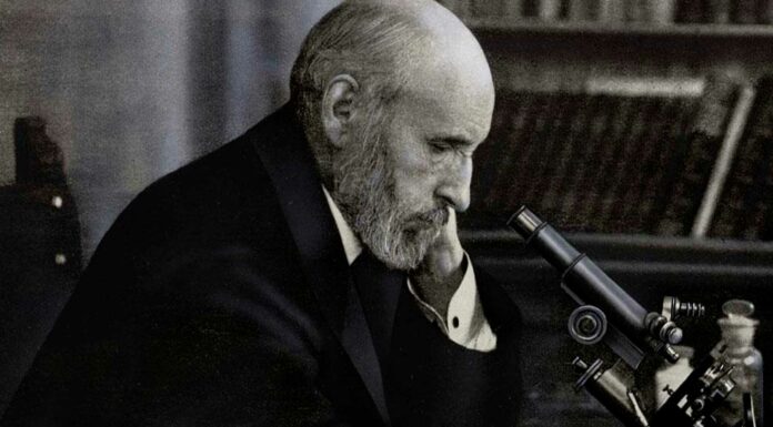 10 Frases de Ramón y Cajal | El mejor dibujante del cerebro frases de Ramón y Cajal