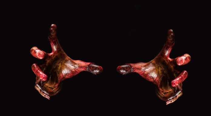 18 Frases de películas de terror | El miedo está por llegar frases de películas de terror