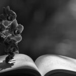 libros de poesía moderna