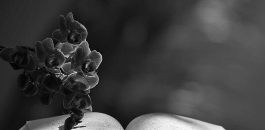 6 Libros de poesía moderna | La más poderosa fuente de amor por la vida libros de poesía moderna