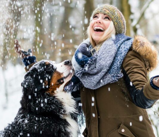 20 Frases de Invierno | La temporada más corta, pero más intensa frases de invierno