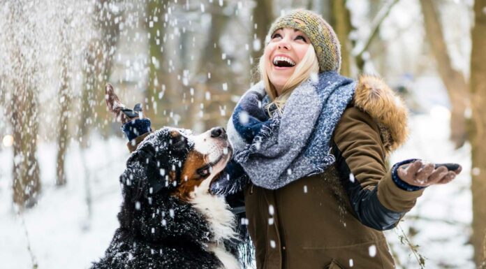 20 Frases de Invierno | La temporada más corta, pero más intensa frases de invierno