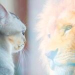 libros de motivación personal