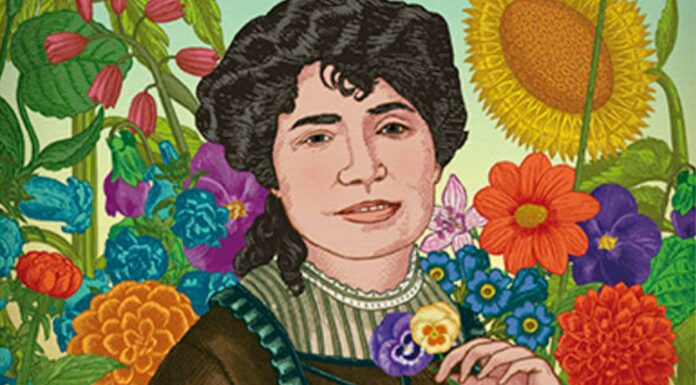 5 Libros de Rosalía de Castro | La autora que alumbró a las letras gallegas libros de Rosalía de Castro