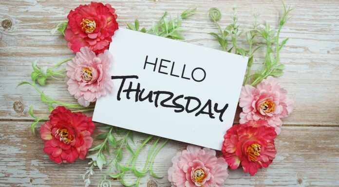 20 Frases de jueves | A un paso del final de la semana frases de jueves Frases de la Vida