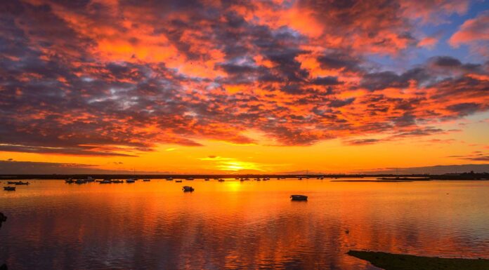 22 Frases del atardecer | Toda la magia del día se condensa frases del atardecer