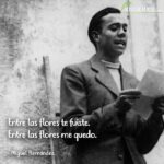 frases de Miguel Hernández