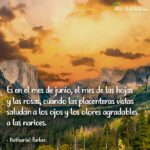 frases de junio