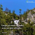 frases de junio frases de la vida