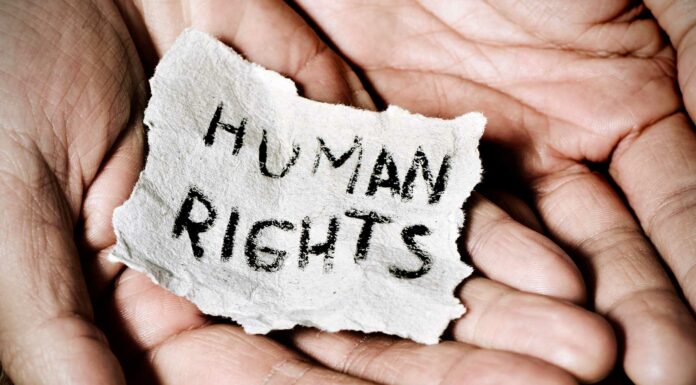 20 Frases sobre los Derechos Humanos | Perfectas para luchar por ellos frases sobre los derechos humanos