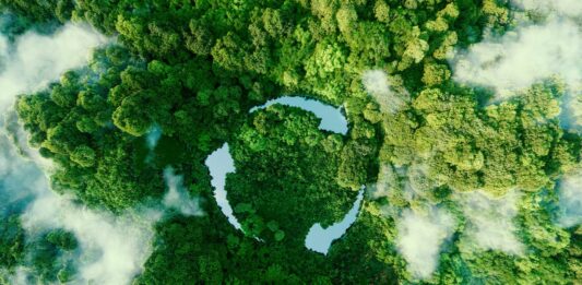 6 Libros de Ecología | Perspectivas del rumbo del planeta libros de ecología